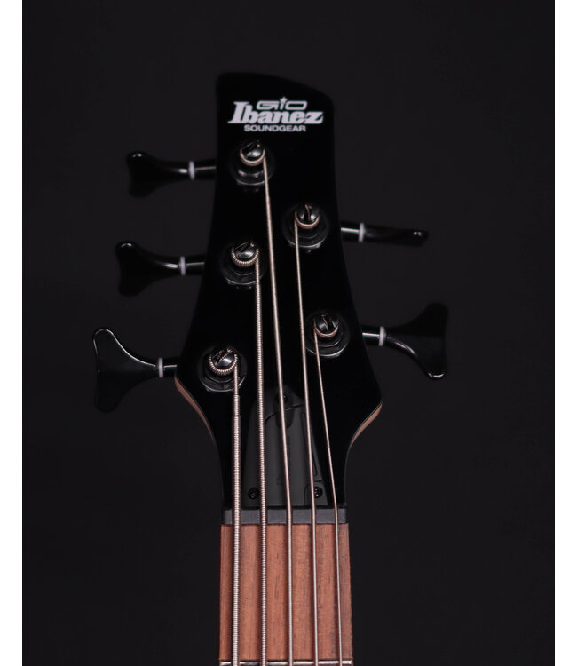 Ibanez GSR205SM 5-String Bass, Spalted Natural Grey Burst