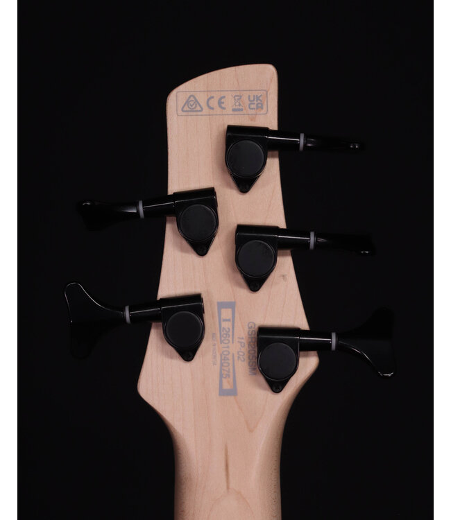 Ibanez GSR205SM 5-String Bass, Spalted Natural Grey Burst