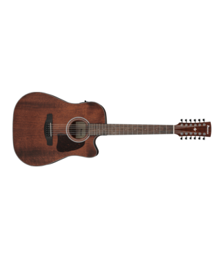 Ibanez Ibanez AW5412CE, 12-String, Open Pore Natural