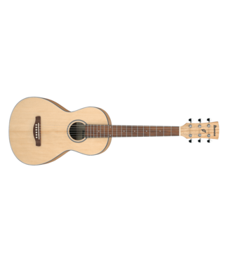 Ibanez Ibanez PN2MD Performance Series Acoustic Guitar, Open Pore Natural