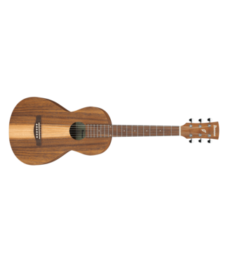 Ibanez Ibanez PN2W Performance Series Acoustic Guitar, Open Pore Brown