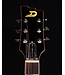 Duesenberg Paloma, Narvik Blue - USED