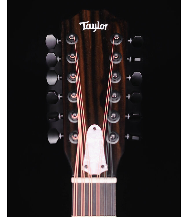 Taylor Somos 250ce Plus BLK "Doce Doble" 12-String