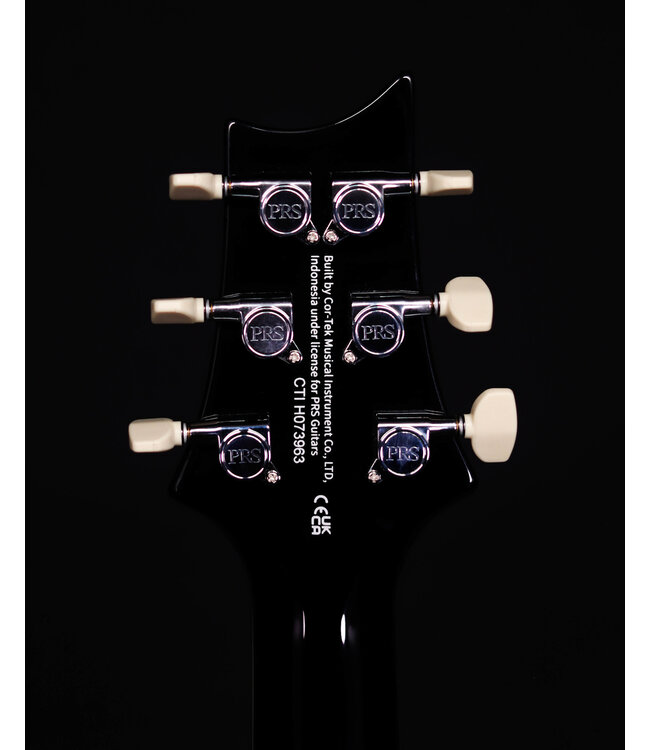 PRS SE Paul's Guitar, Teal Black