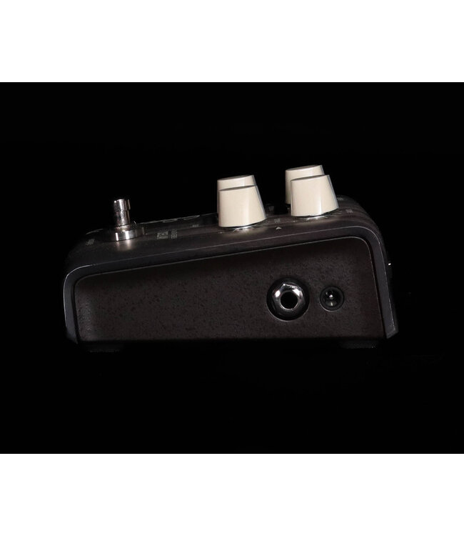 LR Baggs Align Series Delay Pedal - Open Box