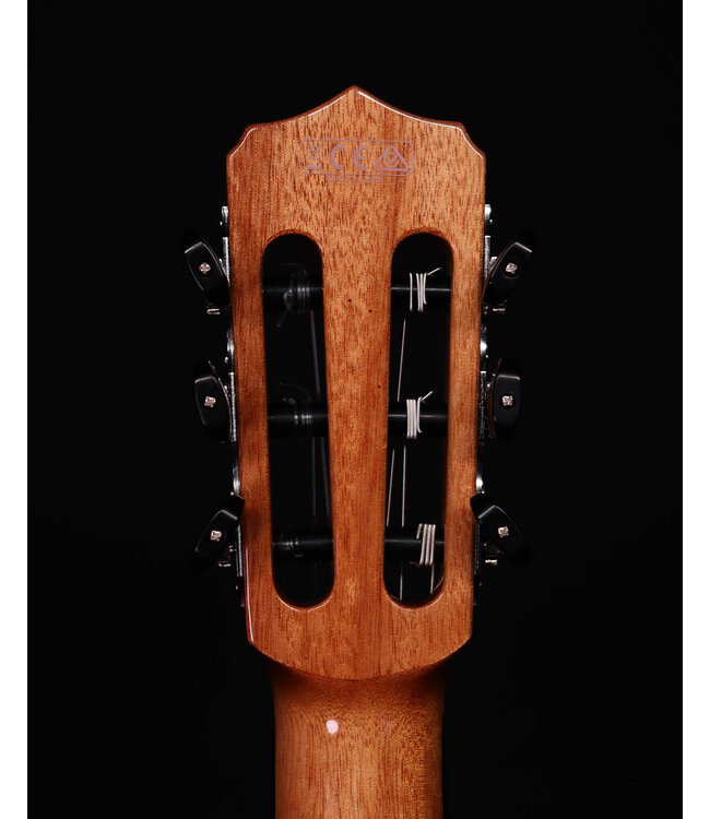 Cordoba Fusion 12 Rose II