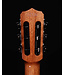 Cordoba Fusion 12 Rose II