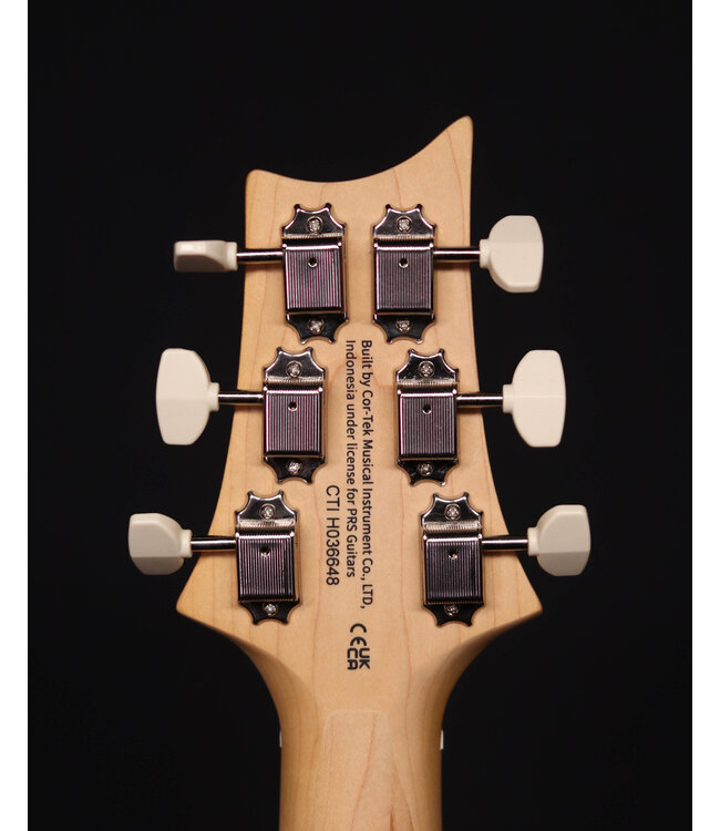PRS SE NF53 Electric Guitar, Black Doghair