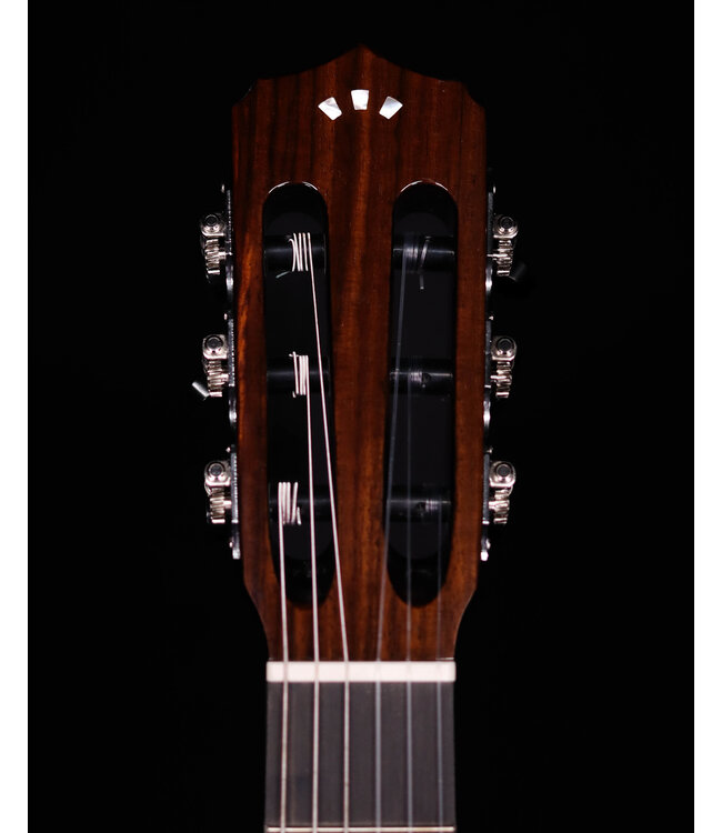 Cordoba Fusion 12 Cinnamon Burst Nylon String Guitar