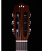 Cordoba Fusion 12 Cinnamon Burst Nylon String Guitar