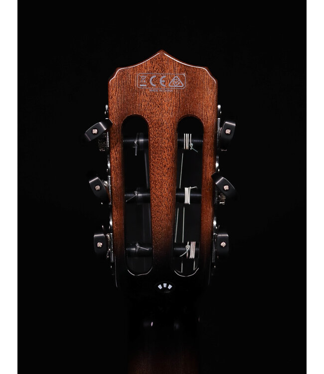 Cordoba Fusion 12 Cinnamon Burst Nylon String Guitar