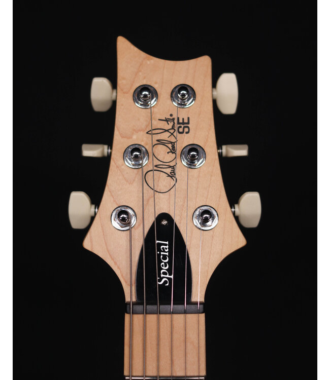 PRS SE Swamp Ash Special, Iri Blue