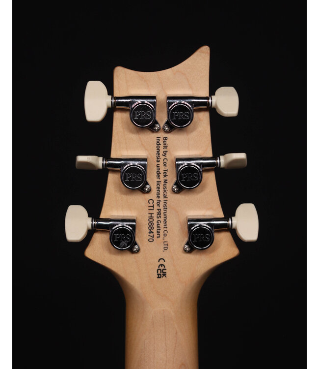 PRS SE Swamp Ash Special, Iri Blue
