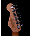 Charvel Pro-Mod Plus Dinky DK24 HSS 2PT EB QM, Ebony FB, Zombie Fade