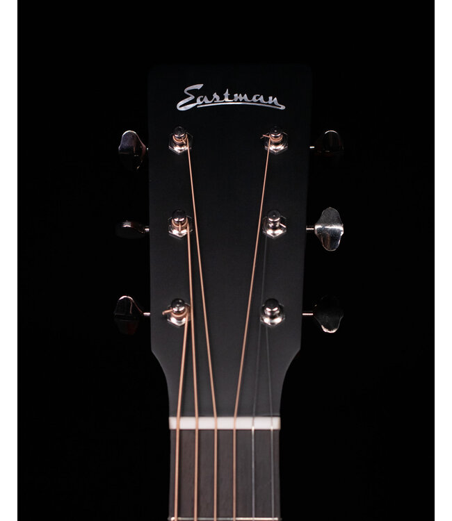Eastman E1OM Acoustic with Deluxe Bag, Natural