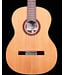 Cordoba C7 Cedar Top Classical Guitar