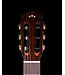 Cordoba C7 Cedar Top Classical Guitar