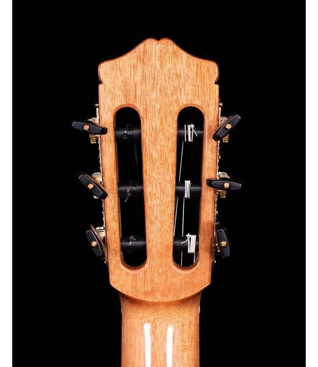 Cordoba C7 Cedar Top Classical Guitar