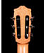 Cordoba C7 Cedar Top Classical Guitar