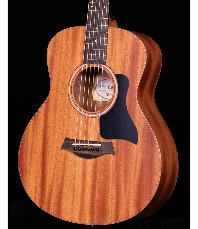 Taylor GS Mini with Mahogany Top