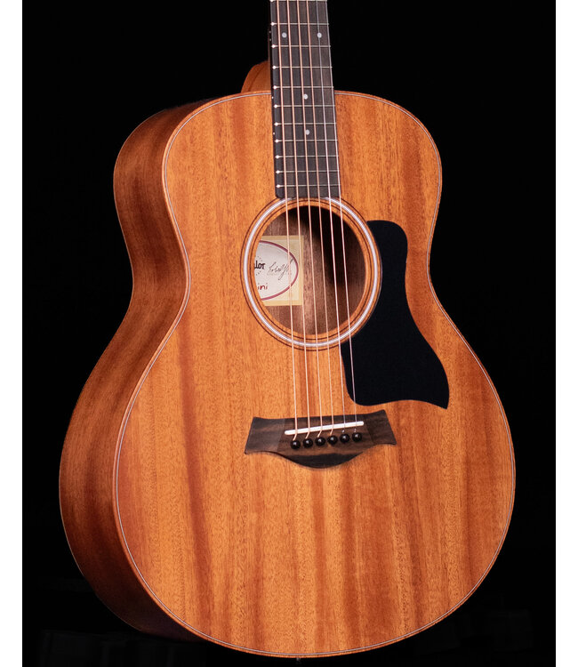 Taylor GS Mini with Mahogany Top