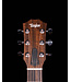 Taylor GS Mini with Mahogany Top