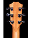 Taylor GS Mini with Mahogany Top