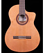 Cordoba C5-CE CD Cedar Top Nylon String Guitar
