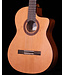 Cordoba C5-CE CD Cedar Top Nylon String Guitar