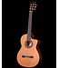 Cordoba C5-CE CD Cedar Top Nylon String Guitar