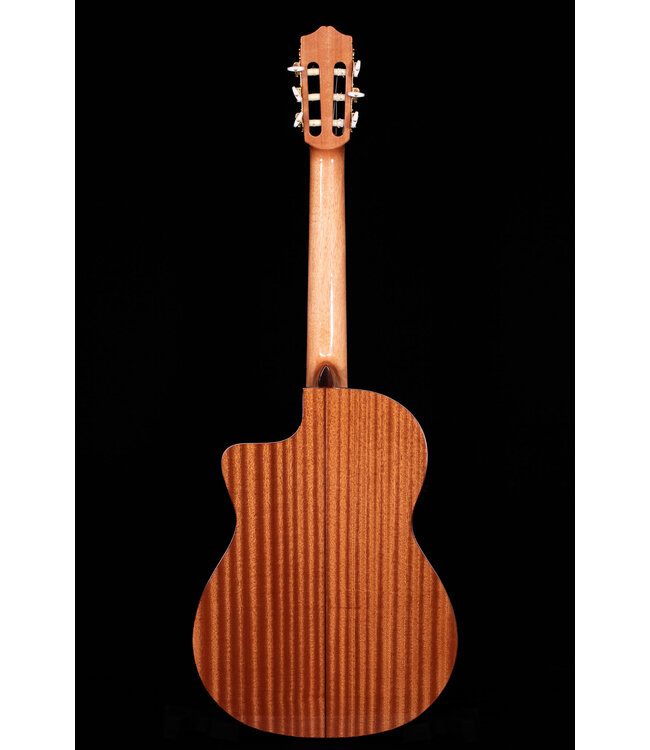 Cordoba C5-CE CD Cedar Top Nylon String Guitar