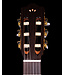 Cordoba C5-CE CD Cedar Top Nylon String Guitar