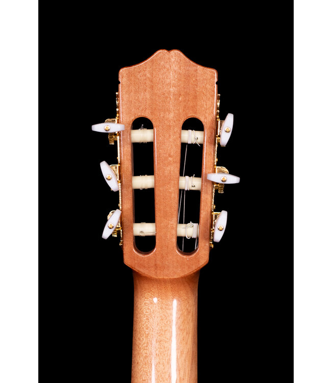 Cordoba C5-CE CD Cedar Top Nylon String Guitar