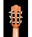 Cordoba C5-CE CD Cedar Top Nylon String Guitar