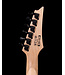 Ibanez GRGR221PA, Aqua Burst