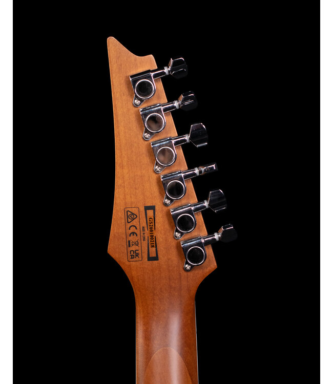 Ibanez GRG220PA1 Electric, Transparent Brown Black Burst