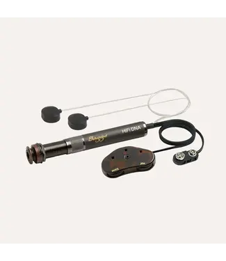 LR Baggs LR Baggs HiFi DNA Pickup with Endpin Preamp and Soundhole Volume and Tone Control
