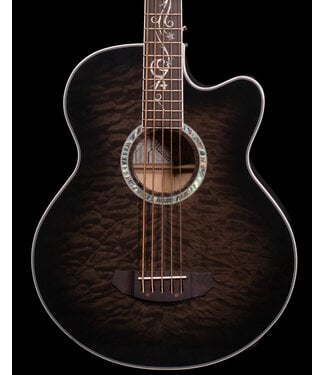 Michael Kelly Michael Kelly Dragonfly MKDF5SKB 5-String Acoustic 5 String Bass - USED