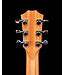 Taylor GS Mini Sapele with Sitka Spruce Top