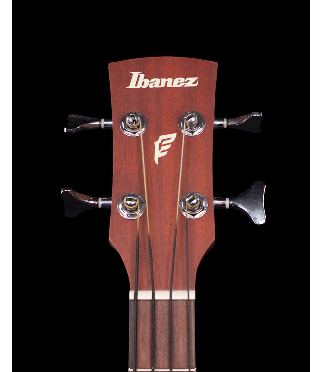 Ibanez PCB54E Performance Series Acoustic Bass Guitar, Open Pore Natural