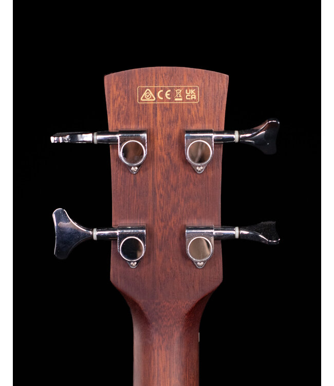 Ibanez PCB54E Performance Series Acoustic Bass Guitar, Open Pore Natural