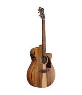 Ibanez Ibanez PC50WSLCE Performance Series A/E Acoustic, Open Pore Brown