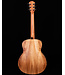 Taylor GS Mini-e, Koa