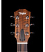 Taylor GS Mini-e, Koa