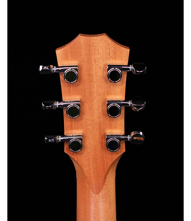 Taylor GS Mini-e, Koa