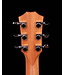 Taylor GS Mini-e, Koa