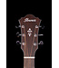 Ibanez AE100 Acoustic/Electric, Burgundy Flat