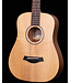 Taylor BT1 Baby with Gigbag