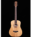 Taylor BT1 Baby with Gigbag
