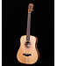 Taylor BT1 Baby with Gigbag